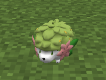 Shaymindefault.png