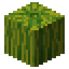 Grid Melon.png