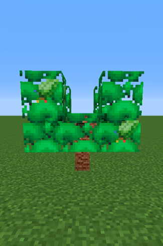 Starf Berry Tree.png