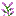 Grid Lilac.png