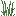 Grid Tall Grass.png