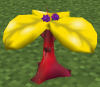 WikiBerryTree.png
