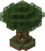 Forest Grotto.png
