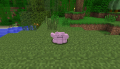 Ditto1.png