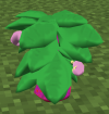 MagoBerryTree.png