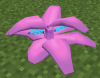 KelpsyBerryTree.png