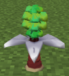 AguavBerryTree.png