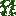 Grid Vines.png