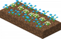 Thumbnail for version as of 04:44, 6 May 2024