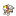 Grid Entei.png