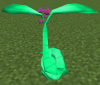 KasibBerryTree.png