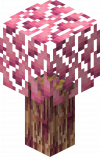 Gym Fairy Tree D.png