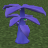 PechaBerryTree.png