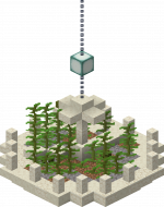 Gym Water Kelp Farm A.png
