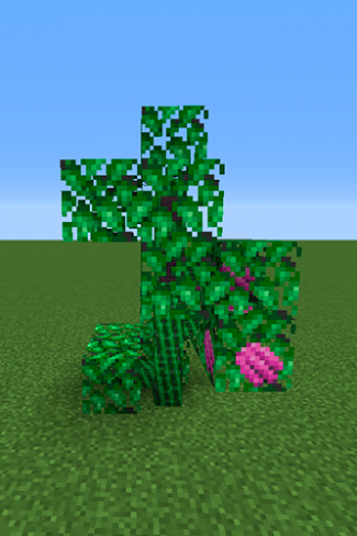 Kasib Berry Tree.png