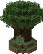 Dark Forest Grotto.png