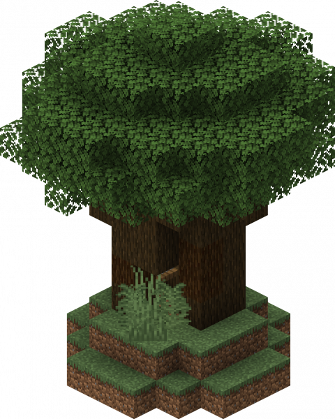 File:Dark Forest Grotto.png