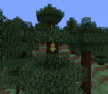 Thumbnail for version as of 22:56, 26 May 2020