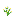 Grid Azure Bluet.png