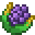 Grid Cornn Berry.png