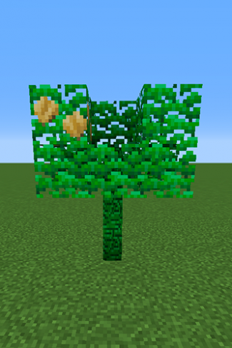 Chilan Berry Tree.png