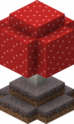 Mushroom Grotto.png