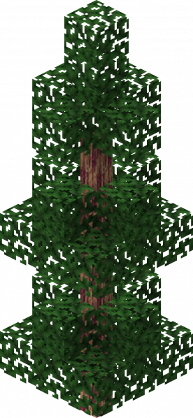 File:Gym Dragon Tree A.png