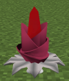 RoseliBerryTree.png