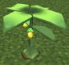 WacanBerryTree.png