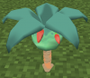 OccaBerryTree.png