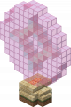 Thumbnail for version as of 06:29, 25 May 2024