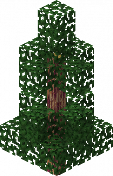 File:Gym Dragon Tree C.png