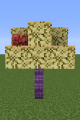 Thumbnail for version as of 17:40, 12 June 2022