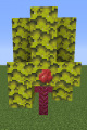 Thumbnail for version as of 17:39, 12 June 2022