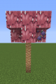 Thumbnail for version as of 17:46, 12 June 2022
