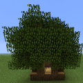 Thumbnail for version as of 21:29, 7 March 2014