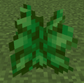 Thumbnail for version as of 00:42, 4 May 2015