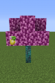 Thumbnail for version as of 17:51, 12 June 2022