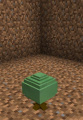 Thumbnail for version as of 16:21, 29 March 2014