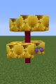 Thumbnail for version as of 17:52, 12 June 2022