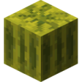 Thumbnail for version as of 04:23, 20 July 2019