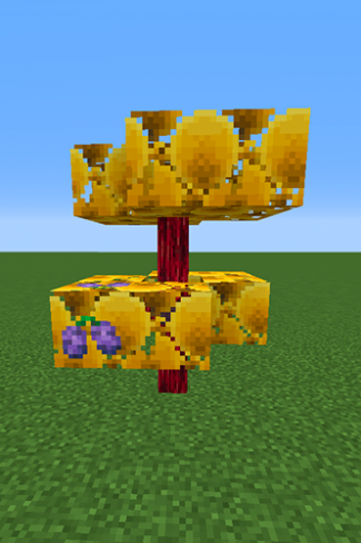 Wiki Berry Tree.png