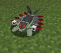 Anorith1.png