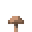 Brown Mushroom