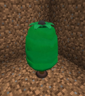Apricorn6.jpg