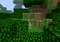 253Grovyle.png