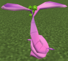 HondewBerryTree.png