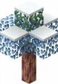 Thumbnail for version as of 07:08, 13 May 2024